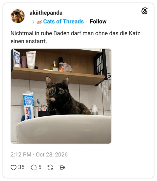 Nichtmal in ruhe Baden darf man ohne das die Katz einen anstarrt.