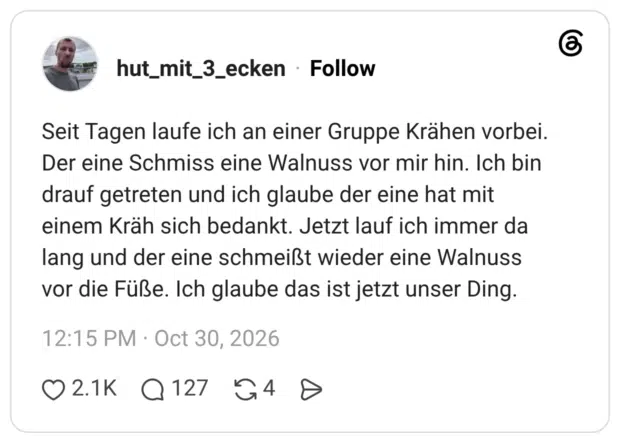 Seit Tagen laufe ich an einer Gruppe Krähen vorbei. Der eine Schmiss eine Walnuss vor mir hin. Ich bin drauf getreten und ich glaube der eine hat mit einem Kräh sich bedankt. Jetzt lauf ich immer da lang und der eine schmeißt wieder eine Walnuss vor die Füße. Ich glaube das ist jetzt unser Ding.